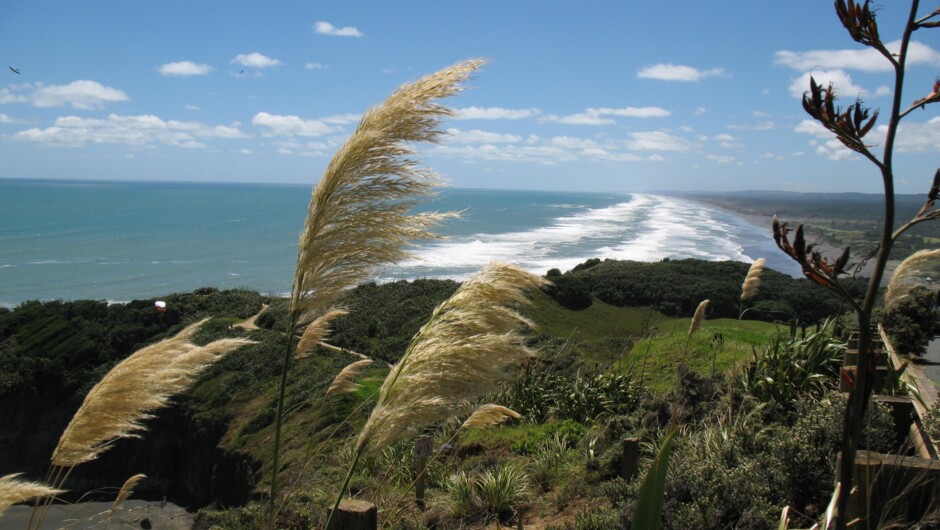 Muriwai Beach looking north