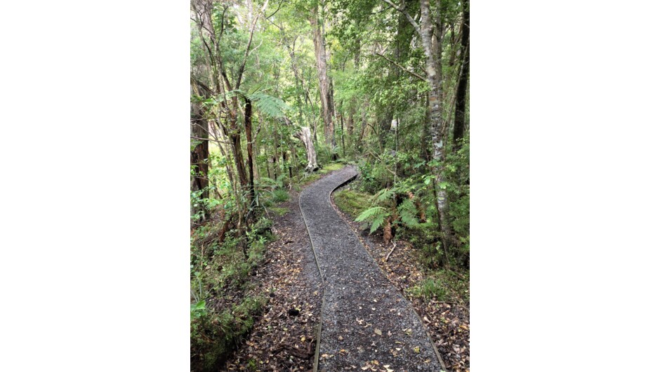 Walking tracks on Ulva Island