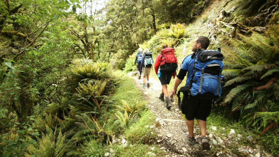 Routeburn Track