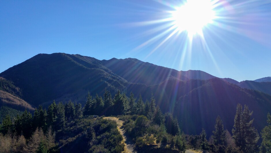 A MUST AN EARLY MORNING STROLL UP CONICAL HILL