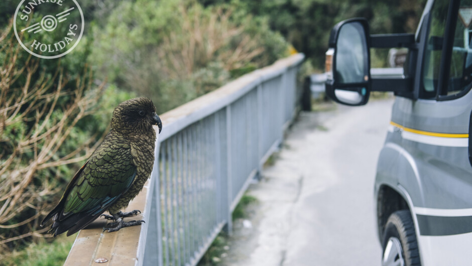 Sunrise Holidays, helping you find your beautiful slice of NZ