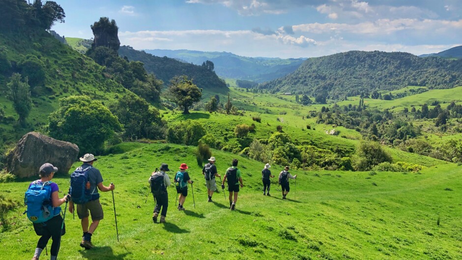 Walking through middle earth