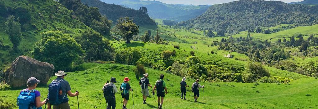 Walking through middle earth