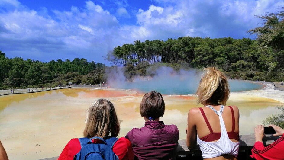 Wai-O-Tapu Thermal Wonderland, Rotorua