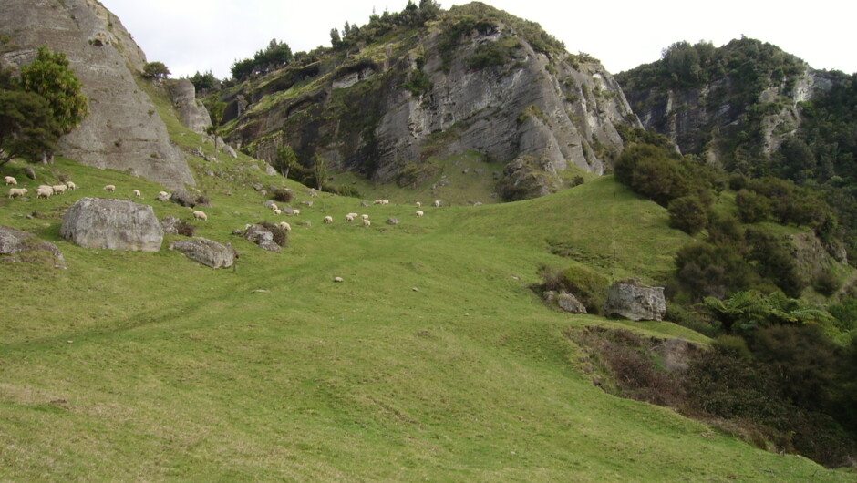 Boundary Stream