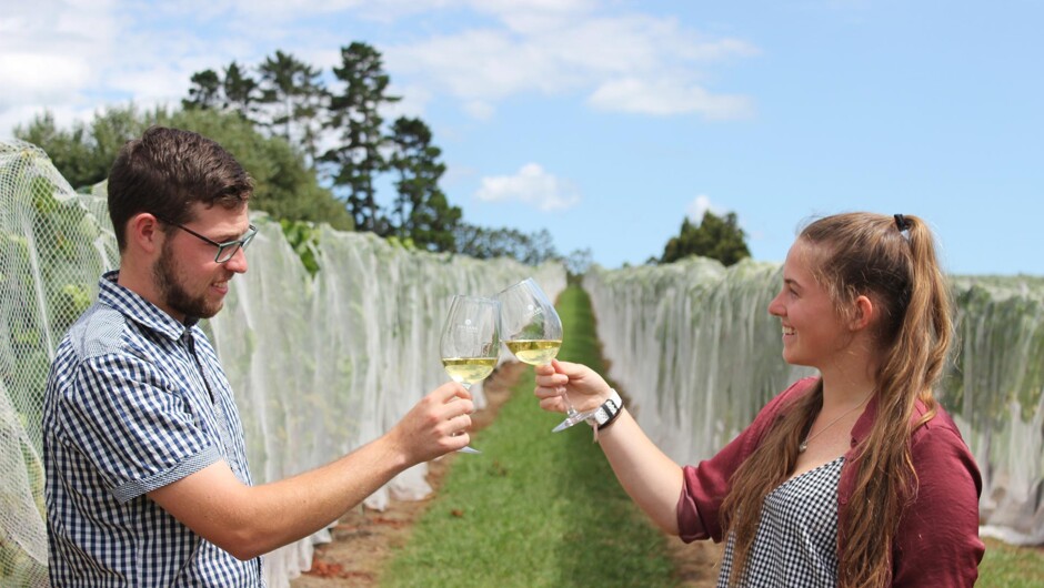 5th Generation Chardonnay Cheers!