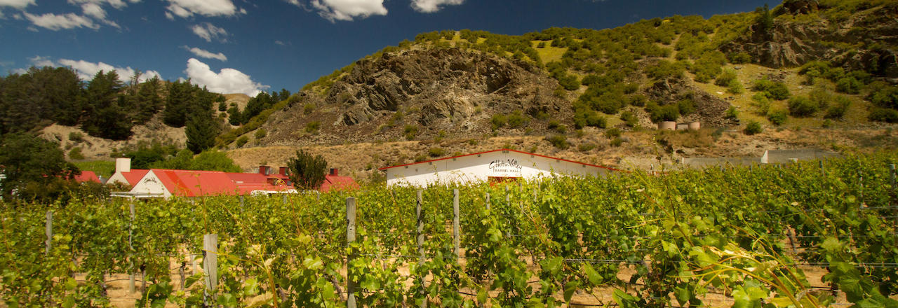 Gibbston Valley Vineyards Queenstown New Zealand - 