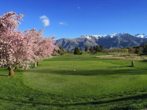 Arrowtown Golf Tee Blossom