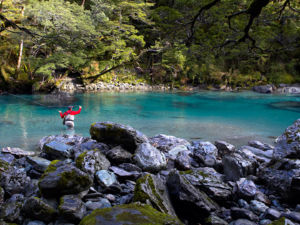 The beautiful Dart River and nearby Routeburn River are brown trout territory. Between 1 October and 30 April you're allowed to try your luck with spinners and artificial flies. There are local guides available to increase your chances of success.