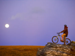 Moonlight rides and golden tussock fields.