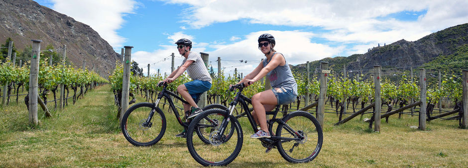 The Gibbston Valley Bike Centre offers direct access to the Gibbston River Trail and nearby wineries.