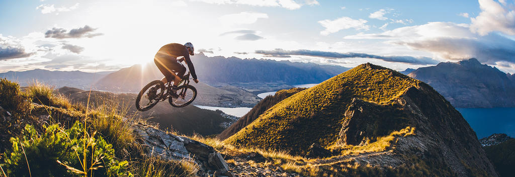 Among the most popular trails in this park are those that start at the top of the gondola and weave their way down through Ben Lomond Forest.