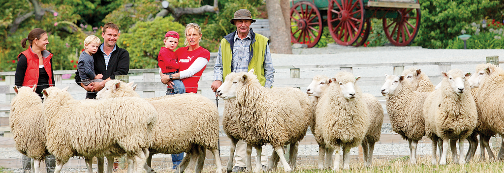 poultry farms for sale in new zealand