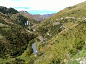 Mountain Bike The Moonlight Track, Queenstown, New Zealand