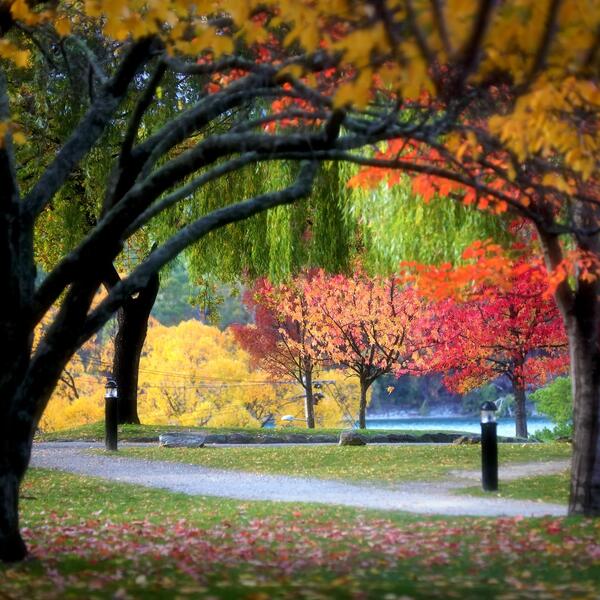 Beautiful Autumn Colours