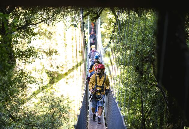 In Neuseeland gibt es eine Reihe von spektakulären Zip Lining Erlebnissen. Erfahre, wo du durch spektakuläre Urwälder, über Flüsse und durch Canyons gleiten kannst.