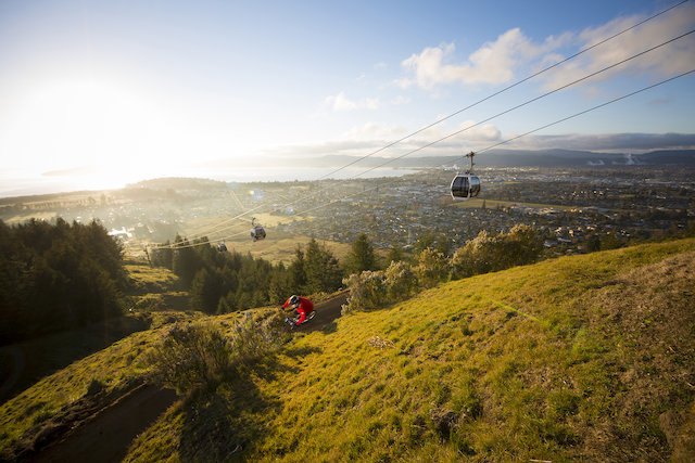 Skyline Gravity Park Mountain Biking In Rotorua