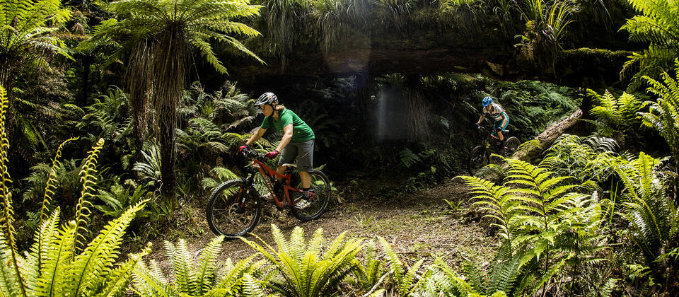 moerangi mtb track