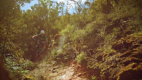 Mountain biking in Rotorua | Rotorua, New Zealand