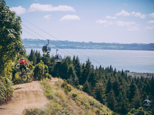 Skyline Gravity Park Mountain Biking In Rotorua