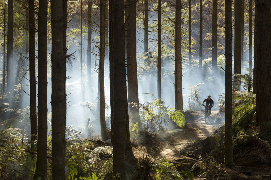 Whakarewarewa Forest, known simply as 'The Redwoods', is a mountain biking mecca.