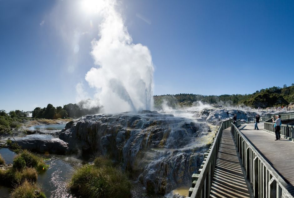 Rotorua Geyser