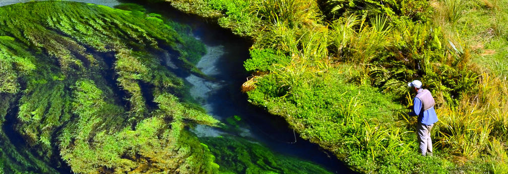 Anglers travel from near and far to go fly fishing in Rotorua, New Zealand.