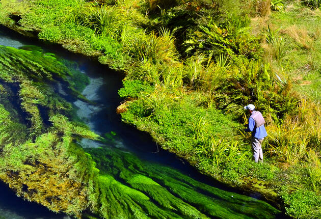 Rainbow trout fisheries<br>
Heart of Māori culture<br>
Numerous lake fed streams