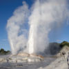 Experience the earth roar at Te Puia and marvel at the tallest geyser in the Southern Hemisphere