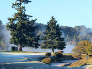 Rotorua Golf Club is a links-style course providing variety and challenge with many holes played over and around both dormant and active thermal areas