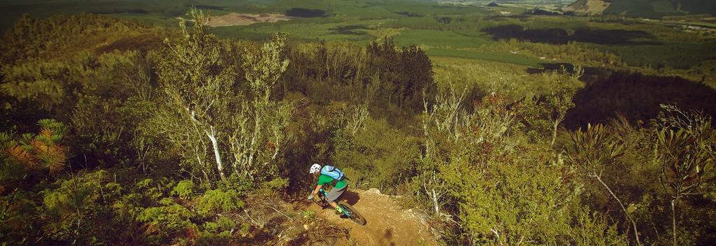 Rainbow Mountain MTB Tracks in Rotorua.