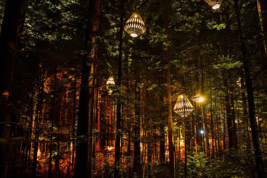 Redwoods Treewalk Rotorua and David Trubridge Design have partnered to create an iconic nocturnal tourism experience: the Redwoods Nightlights.