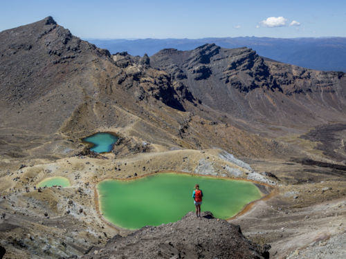 A Hobbits Journey Through New Zealand - 