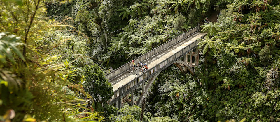 bridge to nowhere mtb