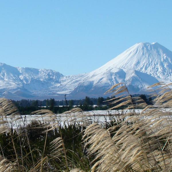 トンガリロ山とナウルホエ山