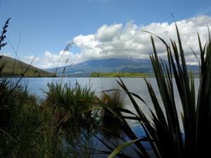 Mehrere Abstecher führen zu sehenswerten Attraktionen wie den Tama Lakes oder den Ohinepango Springs, an denen kristallklares kaltes Wasser aus einem alten Lavastrom emporsprudelt und in den Ohinepango Stream fließt.