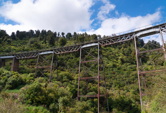 Roll through Ruapehu’s diverse landscapes on two Great Rides, classic backcountry tracks, or leisure trails to suit everyone including beginners and kids.