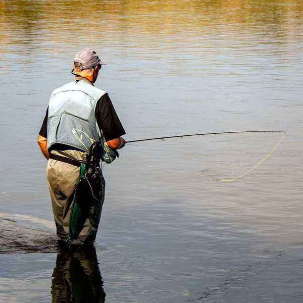 Fly fishing in Southland