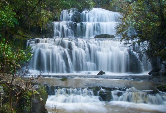 Visit the famous Purakaunui Falls, walk the Catlins River Track, and see Jack's Blow Hole. Spend an amazing day exploring the beauty of the Catlins.