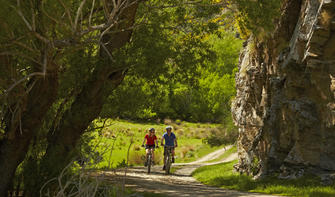 环山自行车道（Around The Mountain cycle trail）沿途茂密的草木