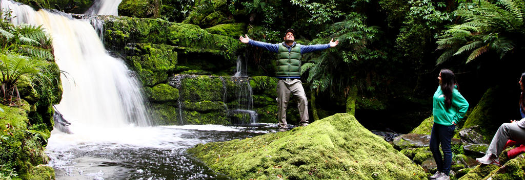 Take a picture by a  bridal veil-like cascade over dark mossy rocks, the McLean falls plummet more than 20 metres into a deep gorge.