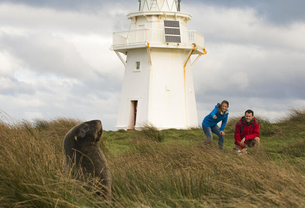 Southland, on New Zealand's South Island, is a land of rugged coast and rolling plains.There is plenty to see and do in Southland. Visit the gardens in Queens Park, travel to Bluff and try the famous Bluff oysters.