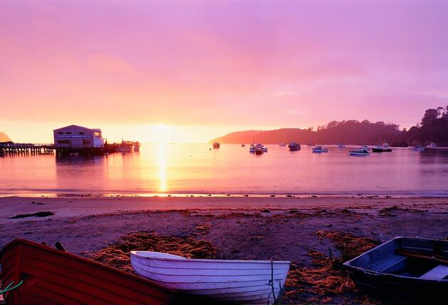 From Halfmoon Bay you can launch yourself onto the tracks of Rakiura National Park. It’s a fishing town, so expect fantastic seafood.