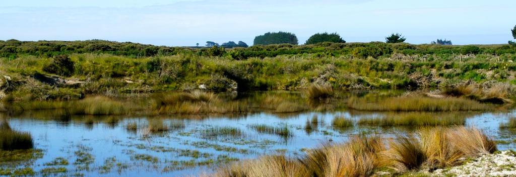 Waituna Lagoon