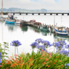 Framed by colourful hydrangeas, Riverton Harbour is quaint and picturesque.