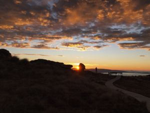 Der Sonnenaufgang am Hump Ridge Track ist ein unvergesslicher Anblick.