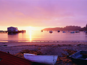 Enjoy a simpler, slower kind of life while you visit Oban on Stewart Island.