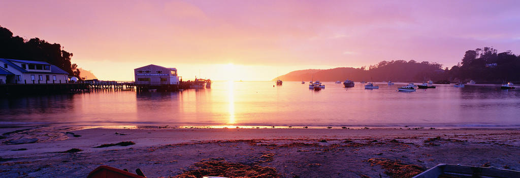 Enjoy a simpler, slower kind of life while you visit Oban on Stewart Island.