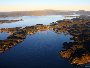 Bei weniger als 500 Einwohnern bietet Stewart Island viel Platz für eine fantastische Naturlandschaft. Besuchen Sie die Insel, um zu wandern, zu tauchen, die Vögel zu beobachten, zu angeln oder einfach nur, um die Ruhe zu genießen.