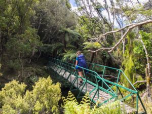 Rakiura Track